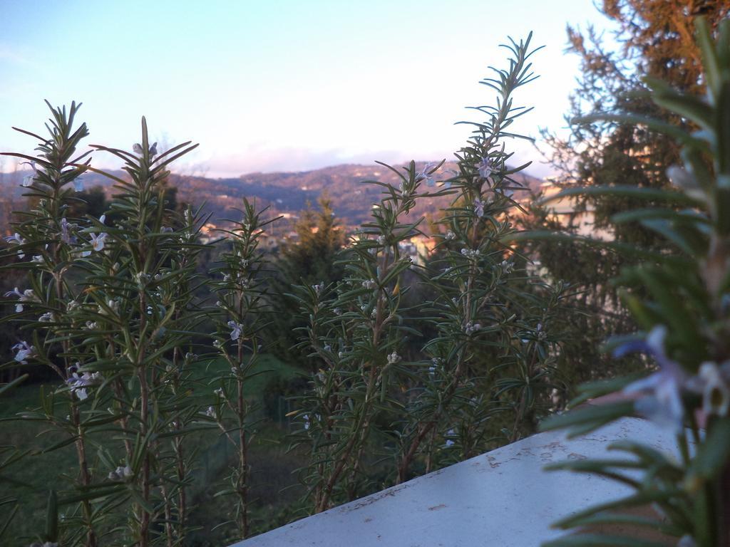 Apartment Montecatini-Terme Near Firenze, Lucca, Pisa Bilik gambar