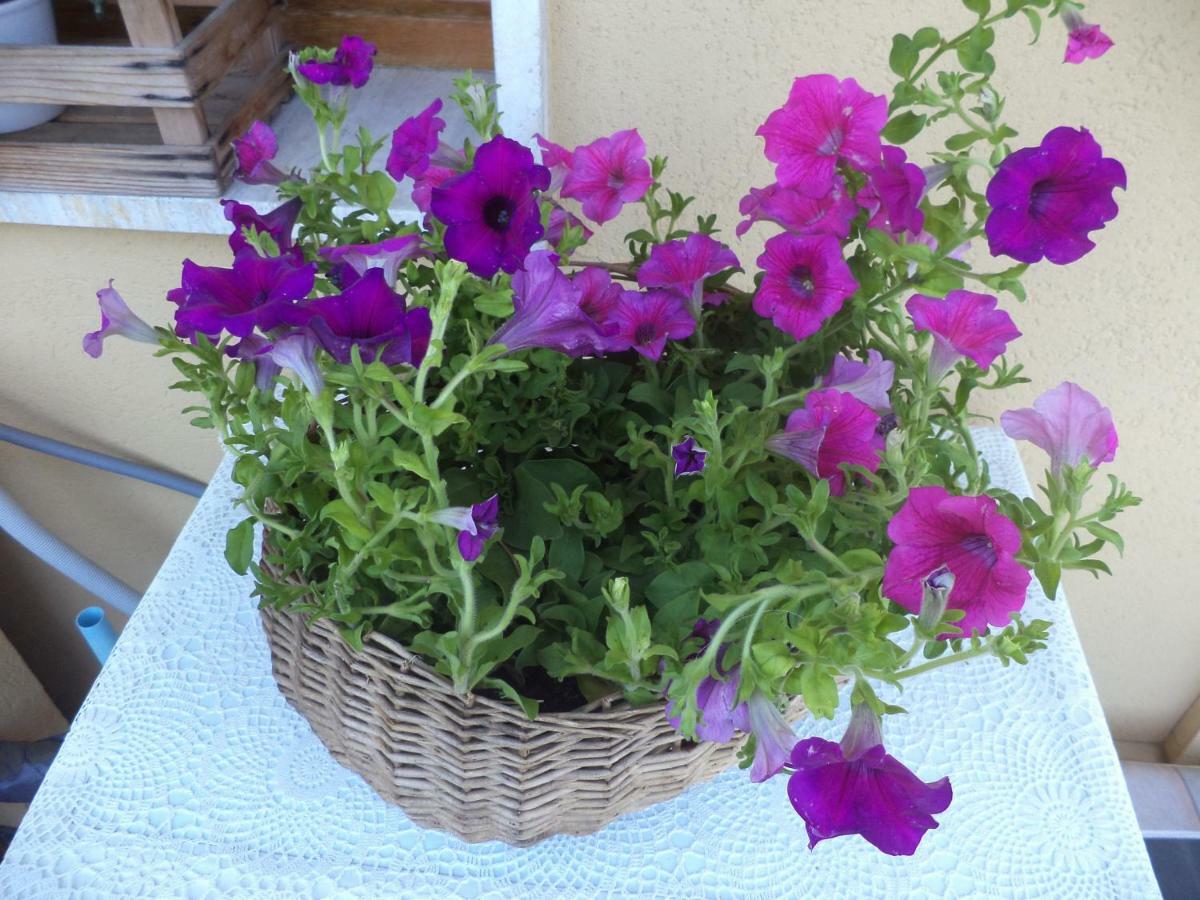 Apartment Montecatini-Terme Near Firenze, Lucca, Pisa Luaran gambar